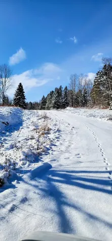 Lot 52 Us- Route 1 Robbinston ME 04668