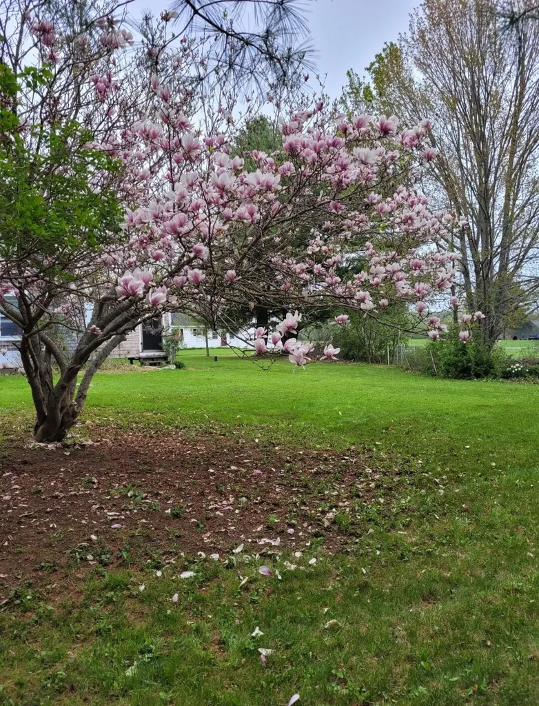 66 Village Street Jefferson ME 04348