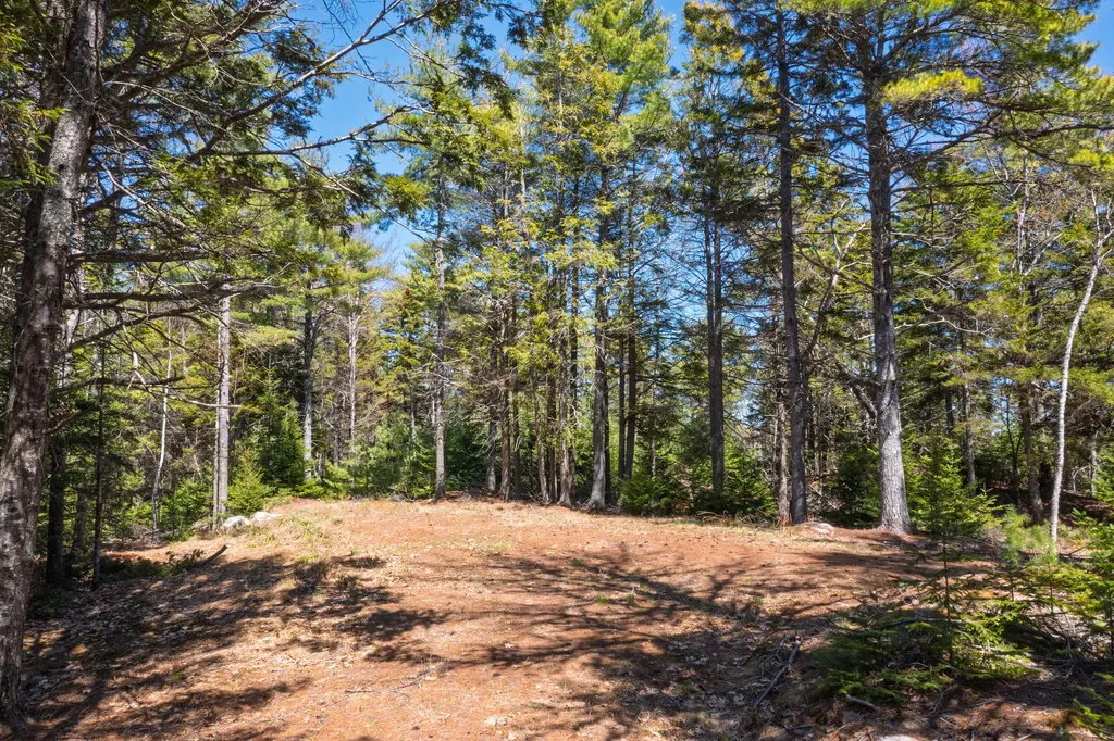 6-60.3 Castle Lane Westport Island ME 04578
