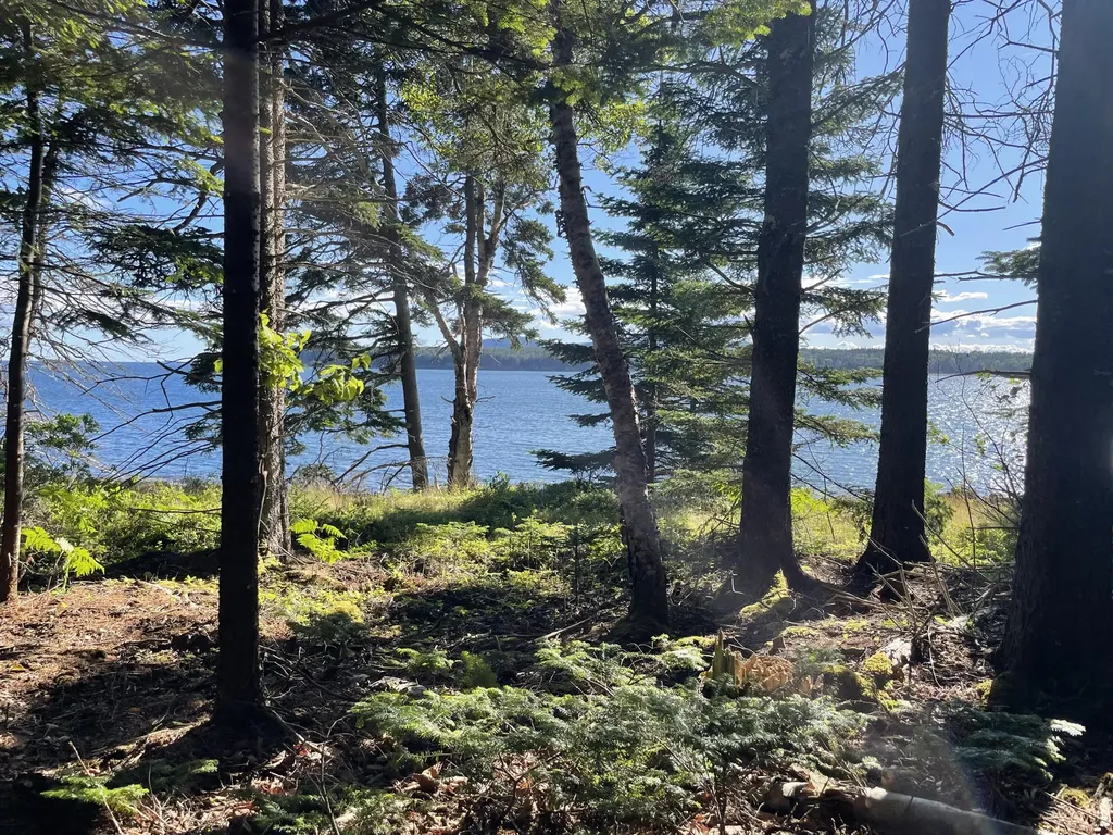 56 Jordan Harbor Road Winter Harbor ME 04693