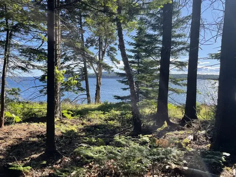 56 Jordan Harbor Road Winter Harbor ME 04693