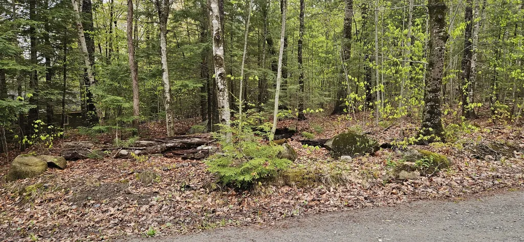 0 Wildwood Drive Rome ME 04963
