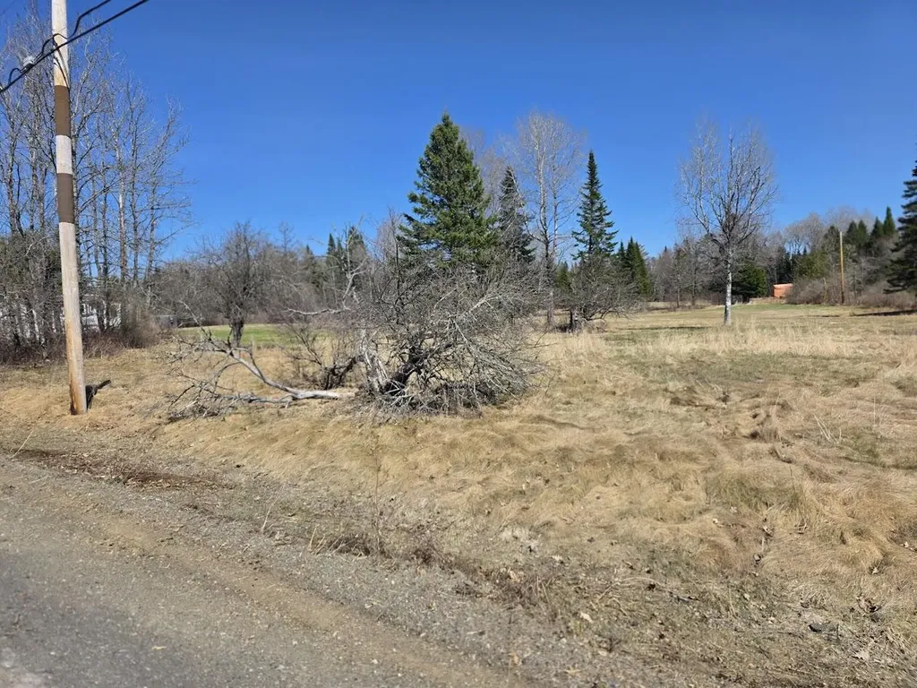 M 19 L 53 Sherman Street Island Falls ME 04747