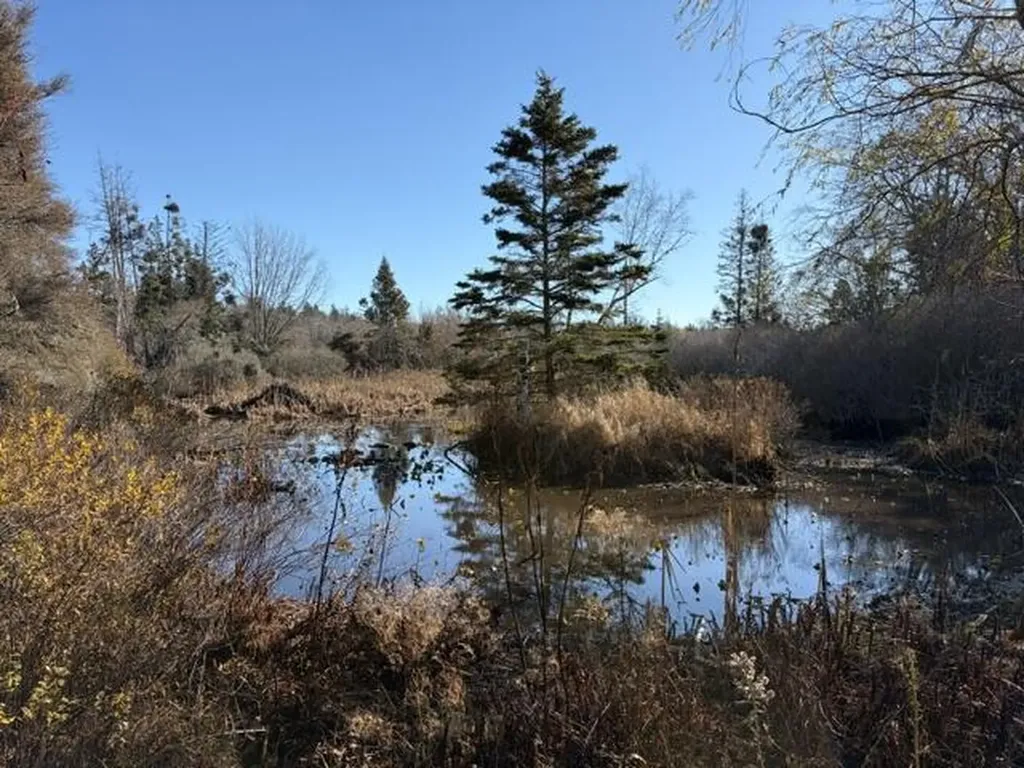 Lot 12-004 Coombs Neck Road Vinalhaven ME 04863