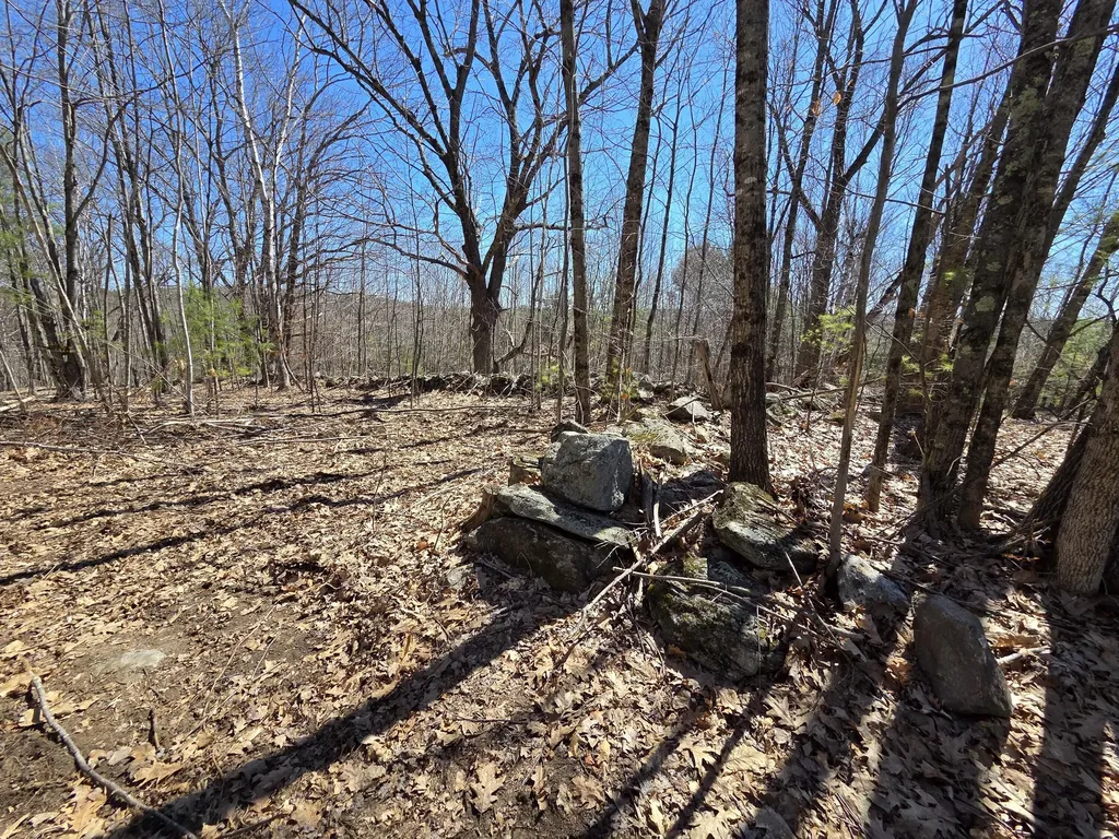 56 Buzzell Lane Greene ME 04236