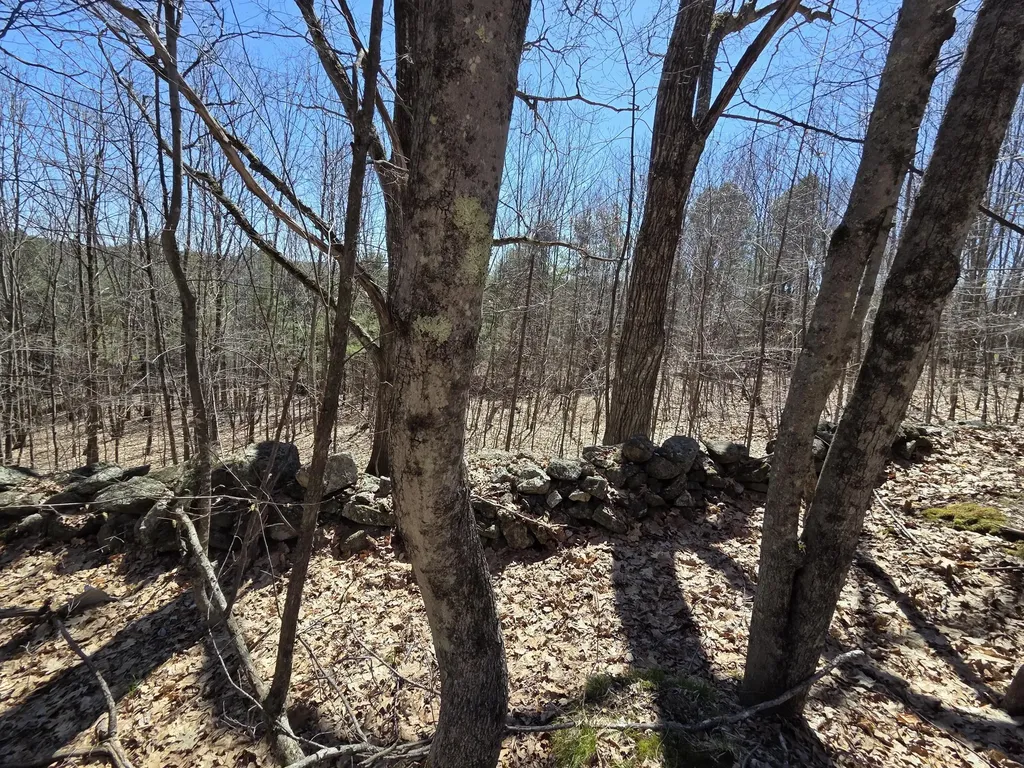 56 A Buzzell Lane Greene ME 04236