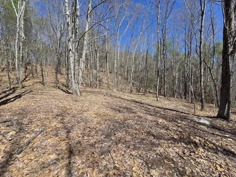 56 A Buzzell Lane Greene ME 04236