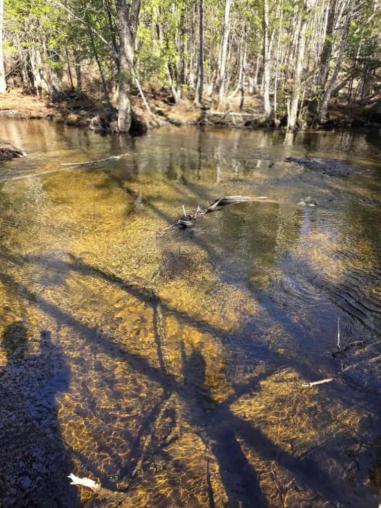 Lot A-n West Ridge Road Littleton ME 04730