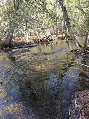 Lot A-N West Ridge Road Littleton ME 04730