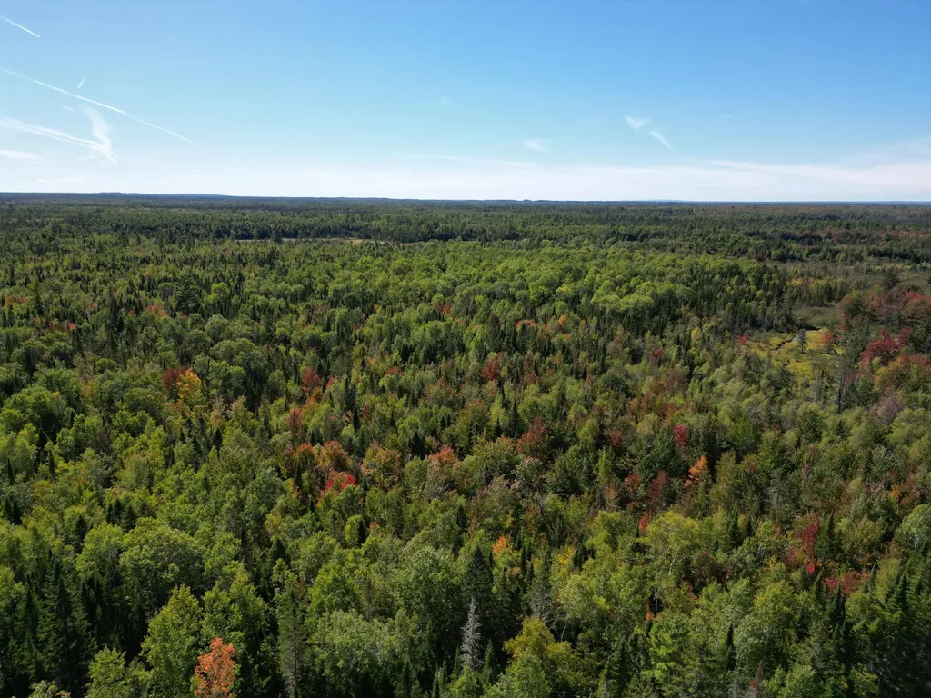 Lot 14 Whitetail Way Lowell ME 04493