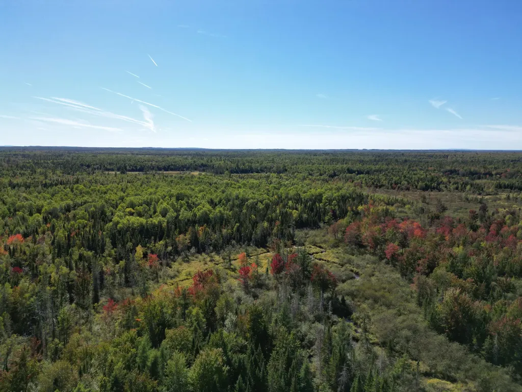 Lot 14 Whitetail Way Lowell ME 04493