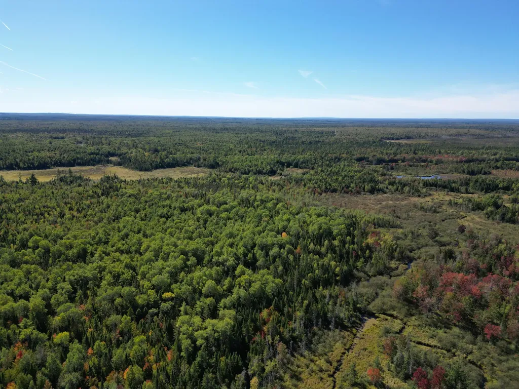 Lot 14 Whitetail Way Lowell ME 04493