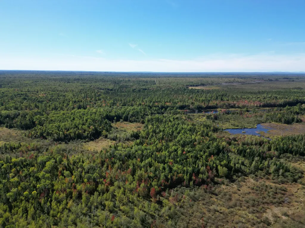 Lot 14 Whitetail Way Lowell ME 04493