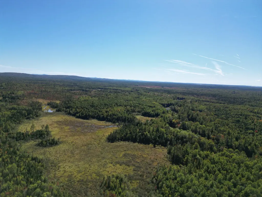 Lot 14 Whitetail Way Lowell ME 04493