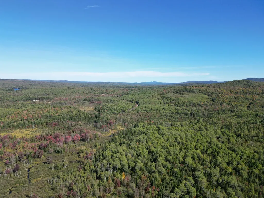 Lot 14 Whitetail Way Lowell ME 04493