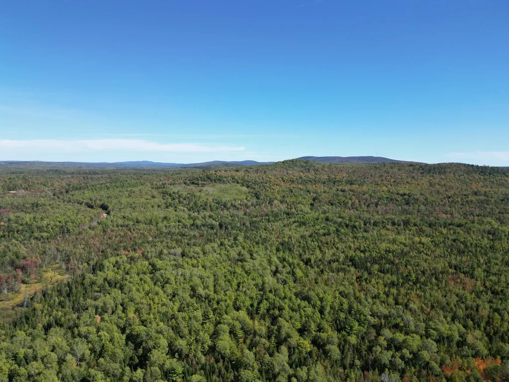 Lot 14 Whitetail Way Lowell ME 04493