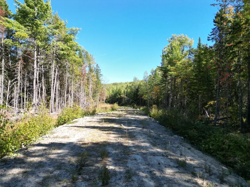 Lot 14 Whitetail Way Lowell ME 04493