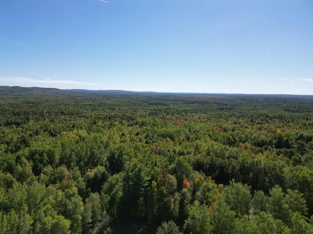 Lot 14 Whitetail Way Lowell ME 04493