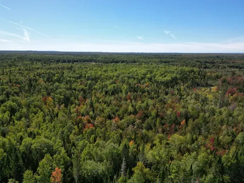 Lot 14 Whitetail Way Lowell ME 04493