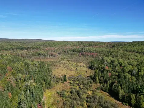 Lot 14 Whitetail Way Lowell ME 04493