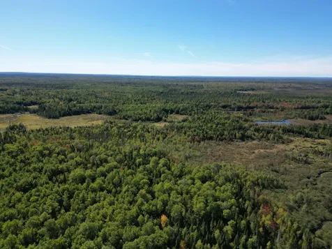 Lot 14 Whitetail Way Lowell ME 04493
