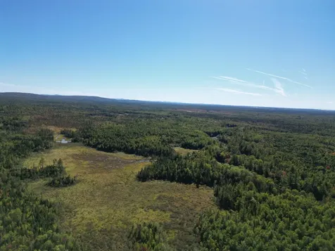 Lot 14 Whitetail Way Lowell ME 04493