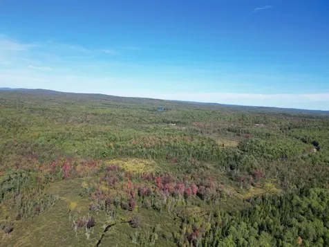 Lot 14 Whitetail Way Lowell ME 04493