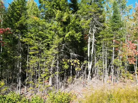 Lot 14 Whitetail Way Lowell ME 04493