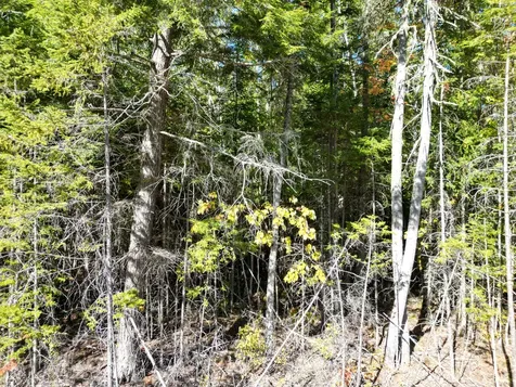 Lot 14 Whitetail Way Lowell ME 04493