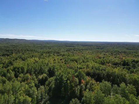 Lot 14 Whitetail Way Lowell ME 04493