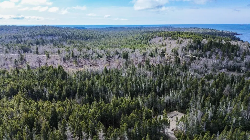 62 Yoho Head Road Machiasport ME 04655