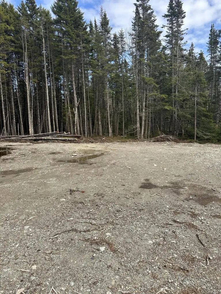 62 Yoho Head Road Machiasport ME 04655