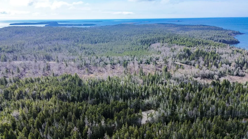 62 Yoho Head Road Machiasport ME 04655