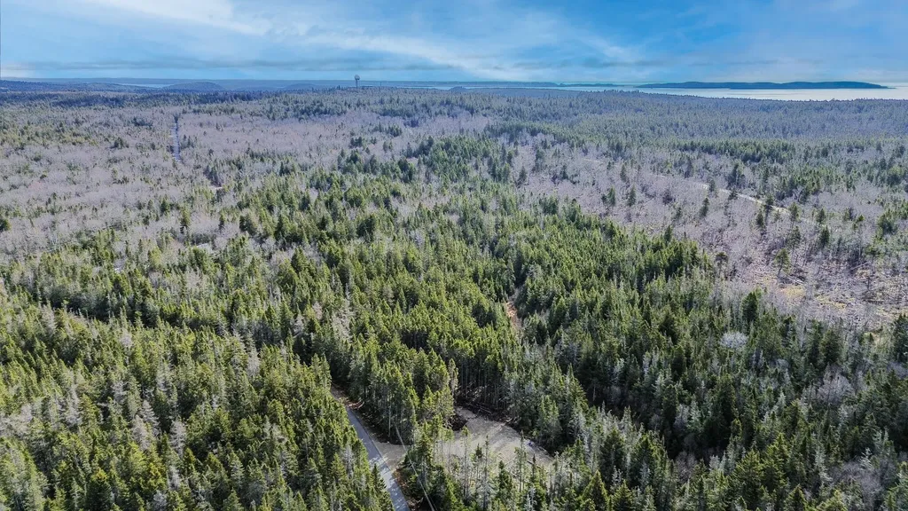 62 Yoho Head Road Machiasport ME 04655