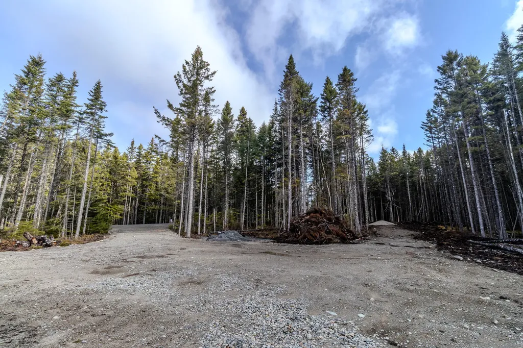 62 Yoho Head Road Machiasport ME 04655