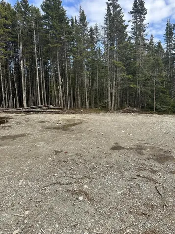 62 Yoho Head Road Machiasport ME 04655
