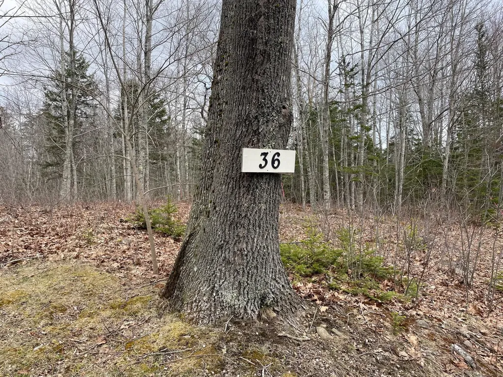 36 Ledgewood Drive Saint George ME 04860