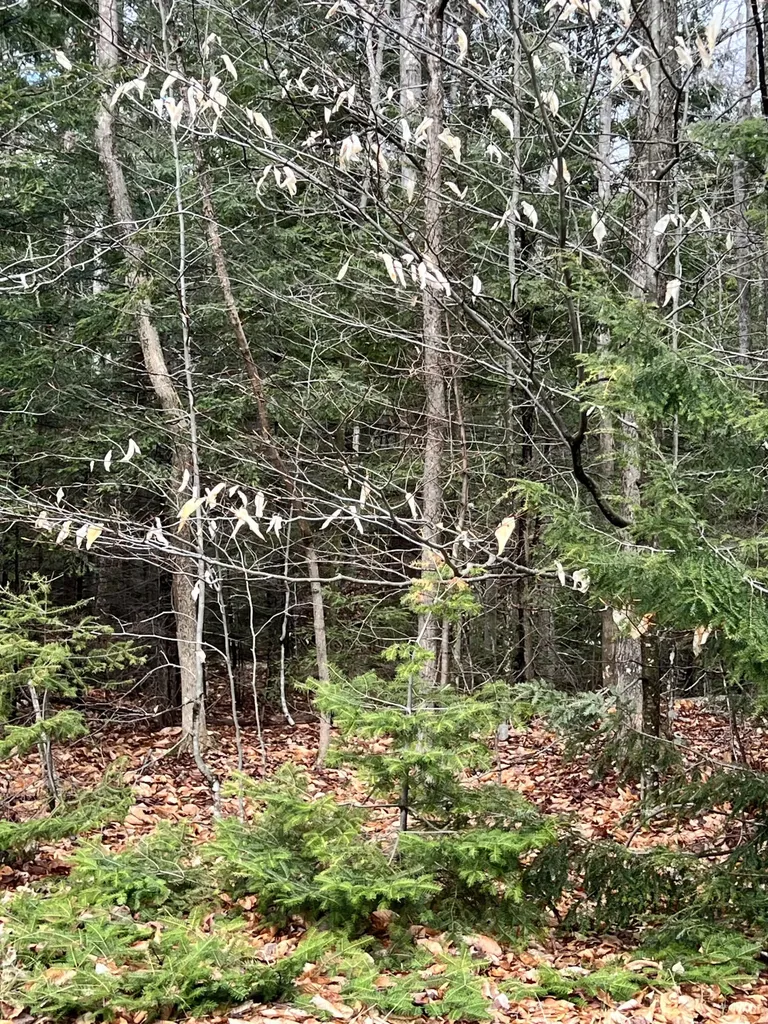 R12-042 Industry Road Farmington ME 04938