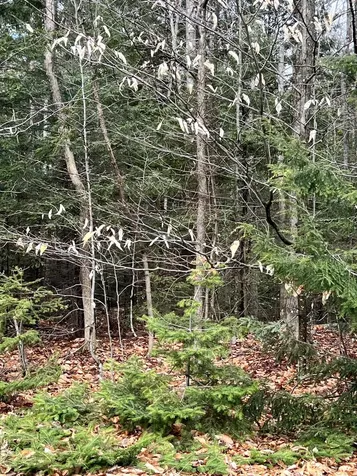 R12-042 Industry Road Farmington ME 04938