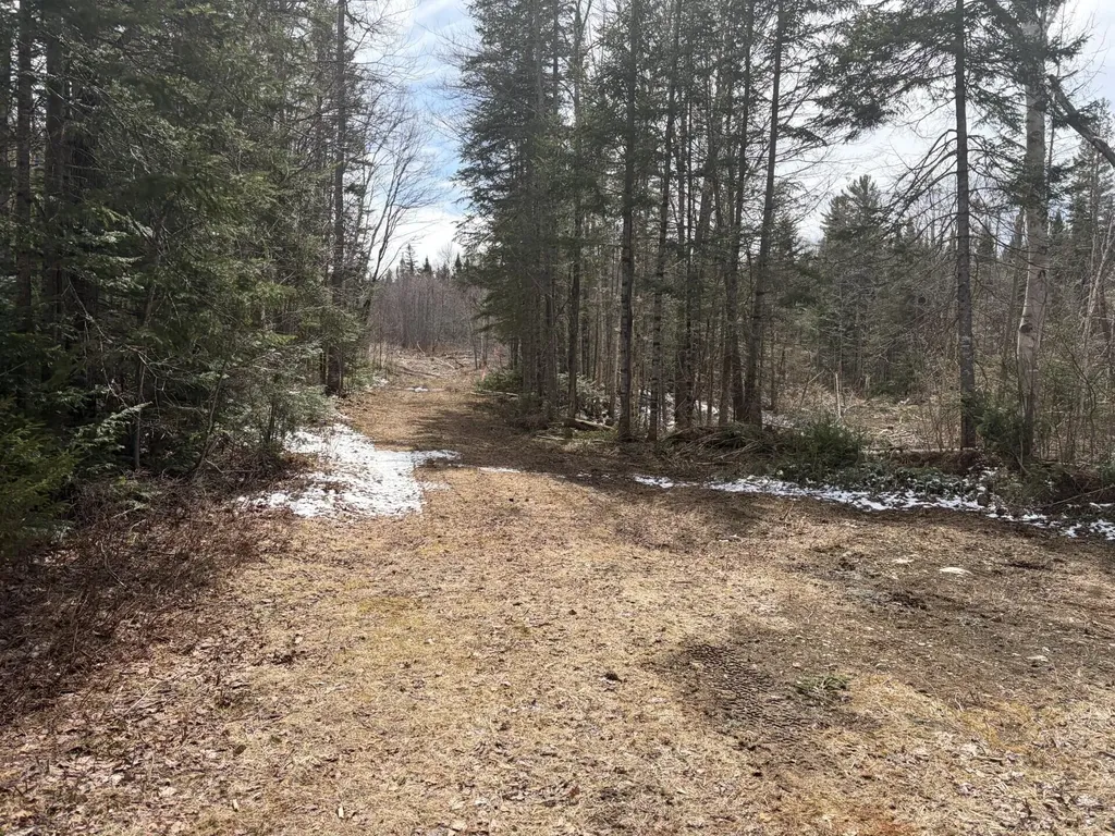 339 Long Pond Road Jackman ME 04945
