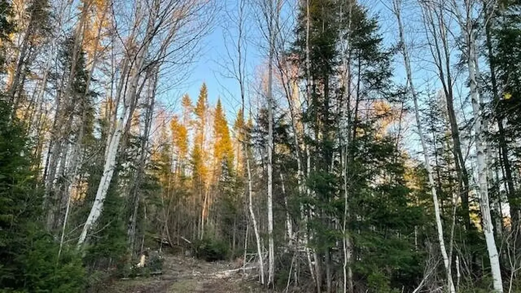 339 Long Pond Road Jackman ME 04945