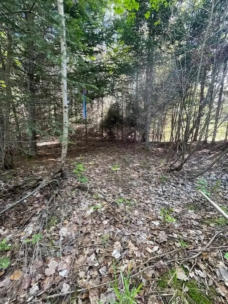 339 Long Pond Road Jackman ME 04945
