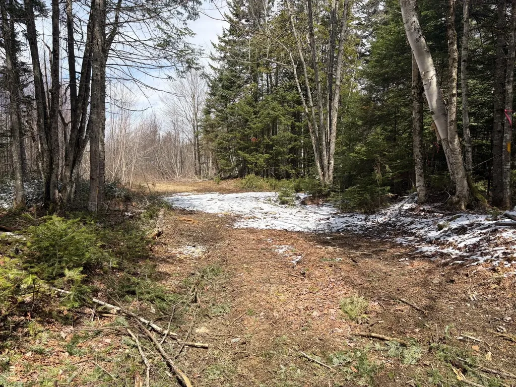339 Long Pond Road Jackman ME 04945
