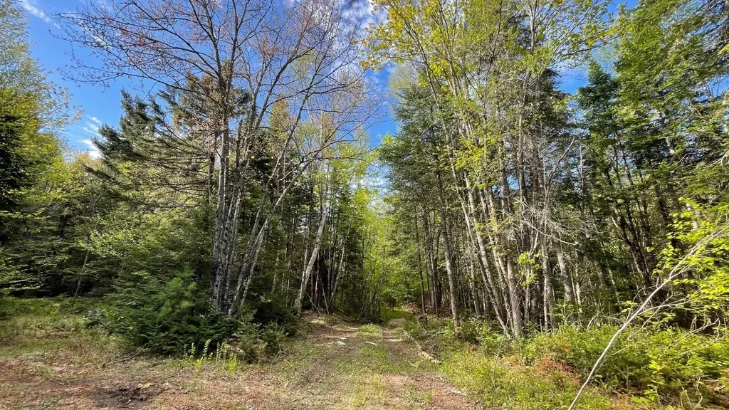 339 Long Pond Road Jackman ME 04945