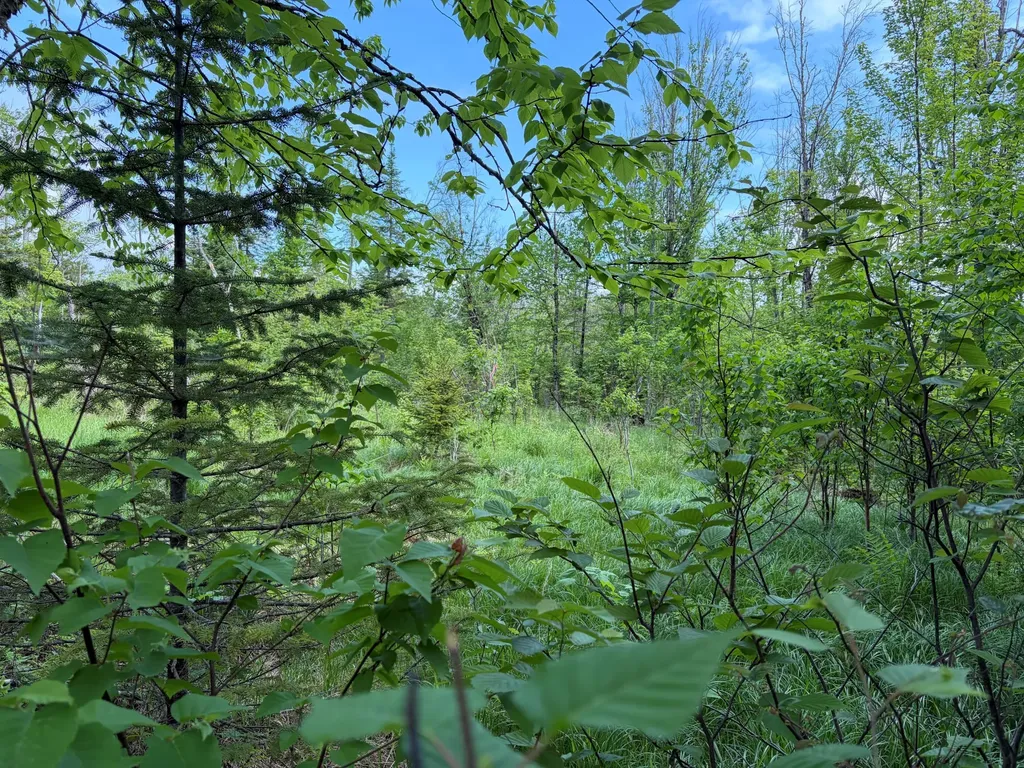 339 Long Pond Road Jackman ME 04945