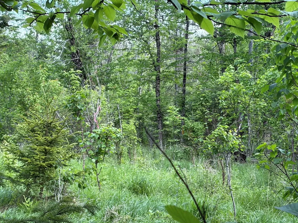 339 Long Pond Road Jackman ME 04945