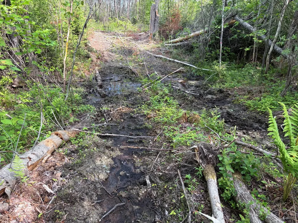 339 Long Pond Road Jackman ME 04945