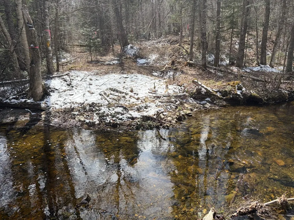 339 Long Pond Road Jackman ME 04945