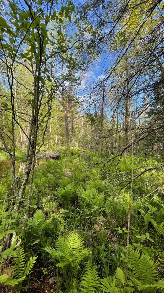339 Long Pond Road Jackman ME 04945