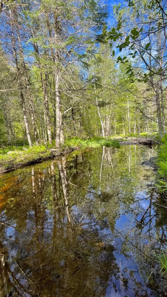 339 Long Pond Road Jackman ME 04945